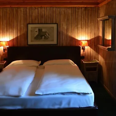 Alpina Hotell 3*