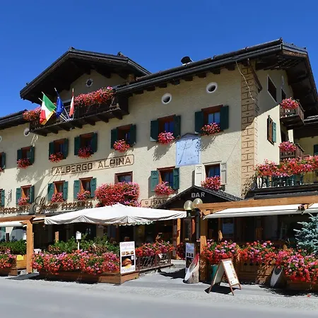 Alpina Hotell 3*