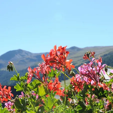 Alpina Hotell Livigno